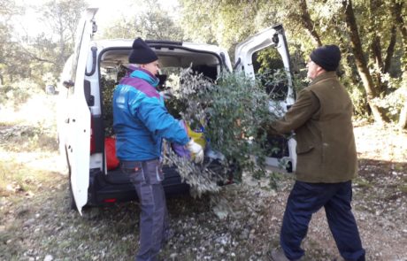 Opération "mousse et branchages" le 6 Décembre